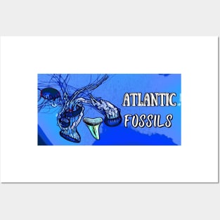 Jellyfish Underwater with Atlantic Fossils Shark Tooth Posters and Art